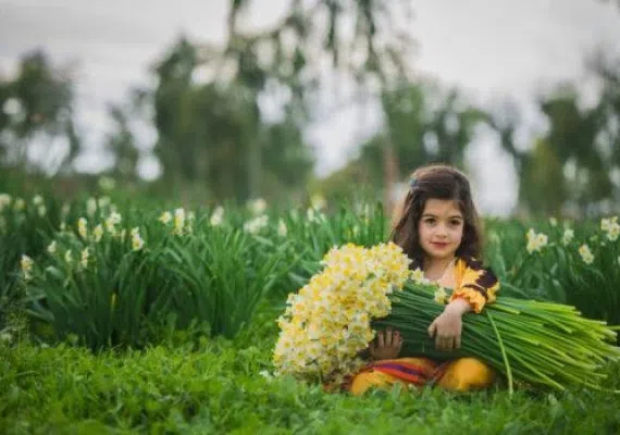 نرگس زار بهبهان