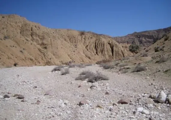 روستای سرند