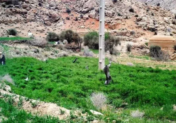 روستای خدا آفرید