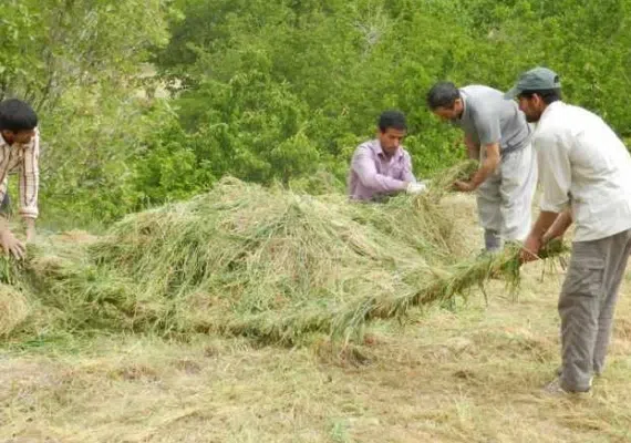 روستای نیگنان