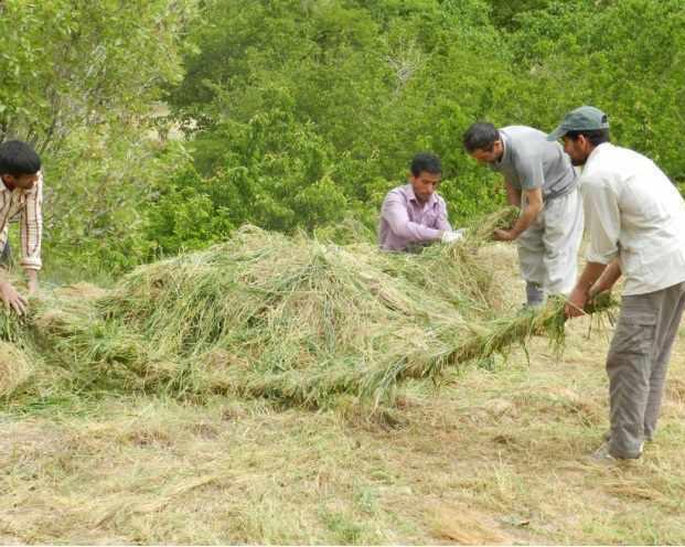 روستای نیگنان