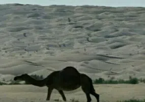 کویر حیدرآباد