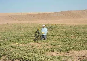 محوطه تاريخي جوزقان