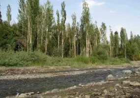 روستای نامق