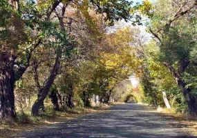 بند باستانی فریمان