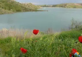 سد چالیدر