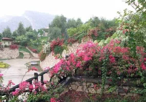 پلاژ مارون بهبهان
