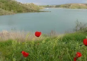 سد چالیدر