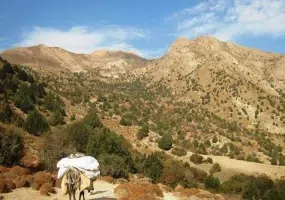 آبشار جم
