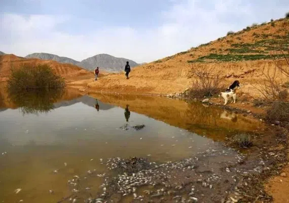 بند خاکی عبدل آباد