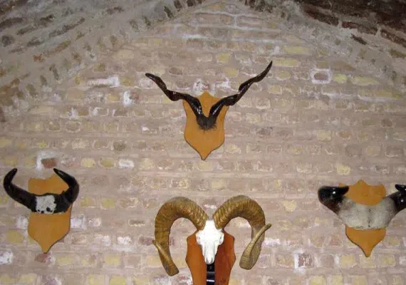 موزه تاریخ طبیعی نیشابور