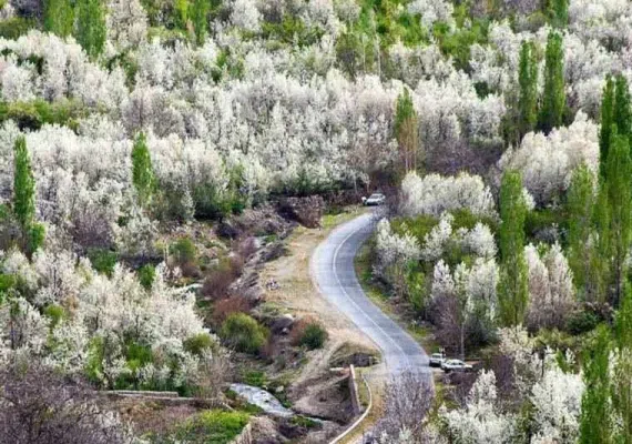 روستای بوژان، ماسوله نیشابور