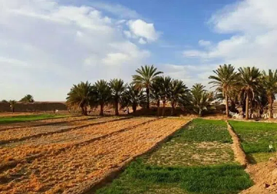 نهبندان