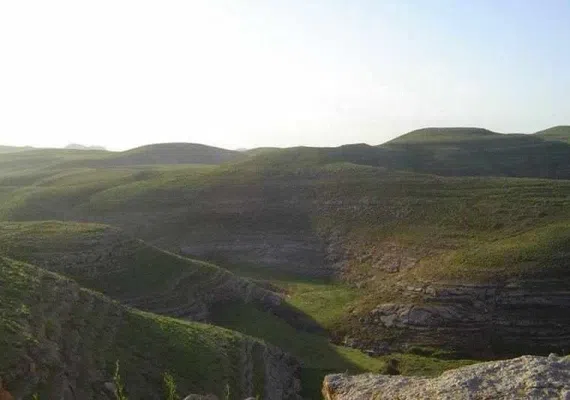 منطقه حفاظت شده حیدری