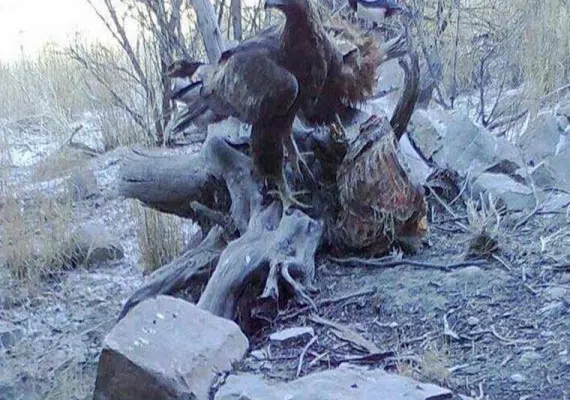 منطقه حفاظت شده حیدری