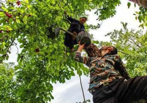 دره بازخانه بجنورد کجاست؟