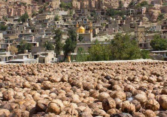 روستای اسفیدان