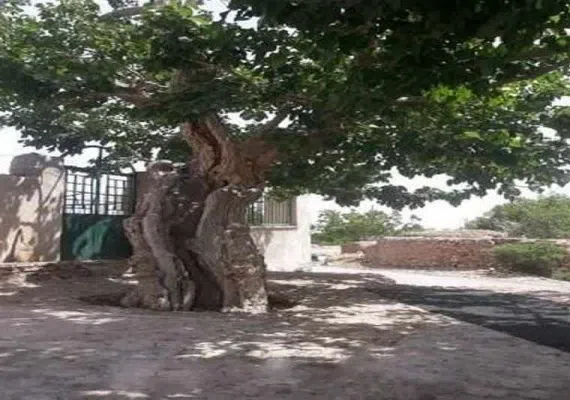 روستای اسفادنماد زیبایی شهرستان زیر کوه