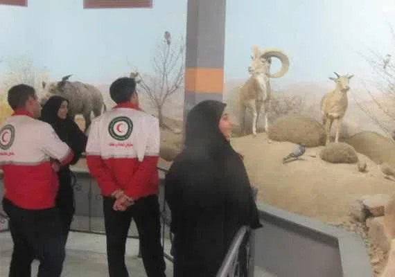 موزه محیط زیست تربت حیدریه