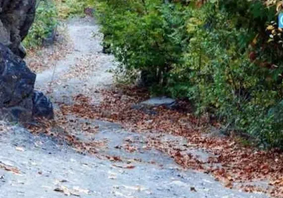 روستای گهوار گر
