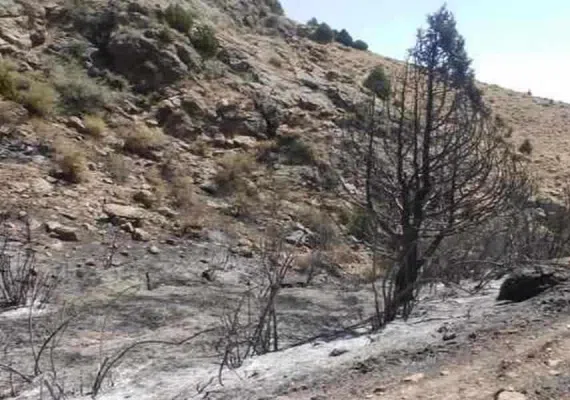 منطقه شکار ممنوع کلیلاق