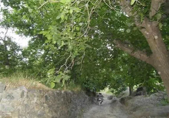 منطقه شكار ممنوع درح