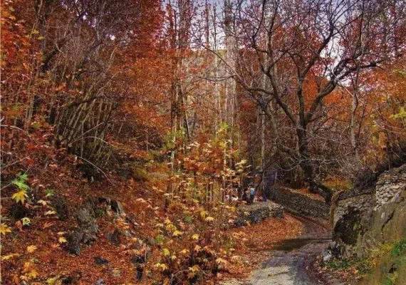 ییلاق طرقبه