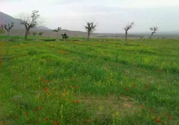 روستای اسفادنماد زیبایی شهرستان زیر کوه