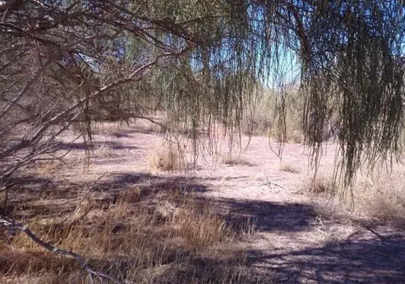 منطقه حفاظت شده رئیسی نیشابور