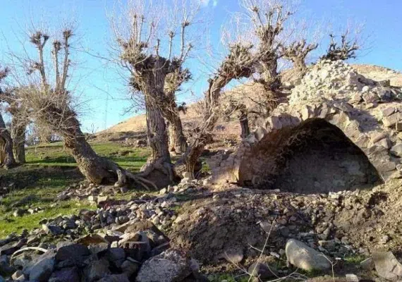 روستای نامق