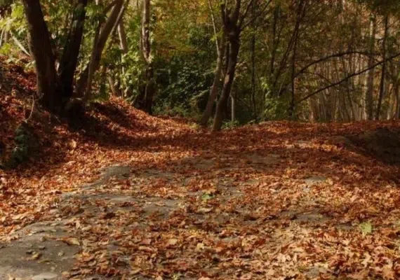 روستای گهوار گر