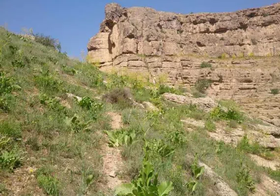 يخدان نمد مالها قوچان