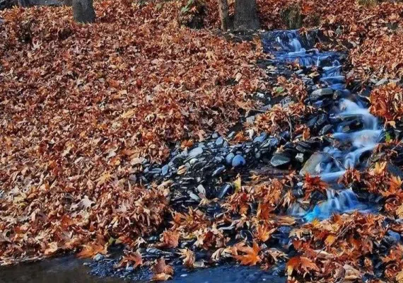 ییلاق طرقبه