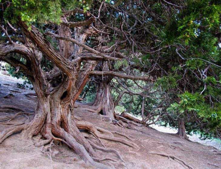 آبشار نورالی