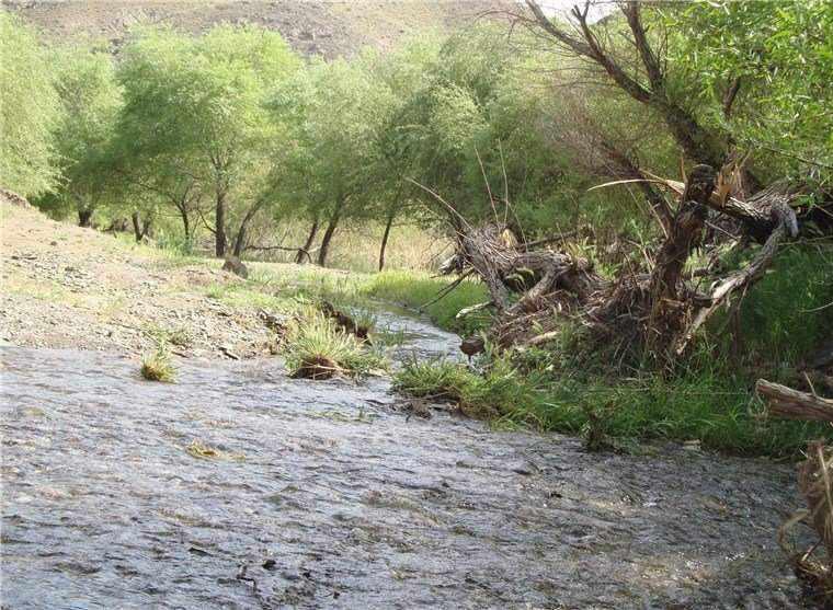 منطقه تفریحی علی آباد