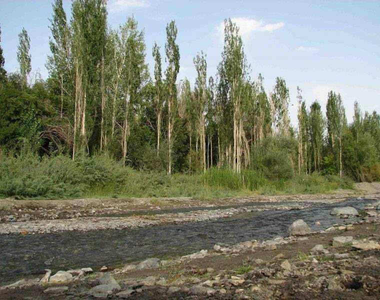 روستای نامق