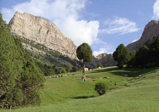 آبشار نورالی