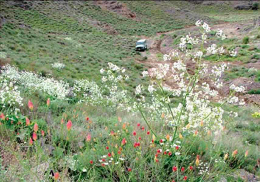 پارک ملی بجستان