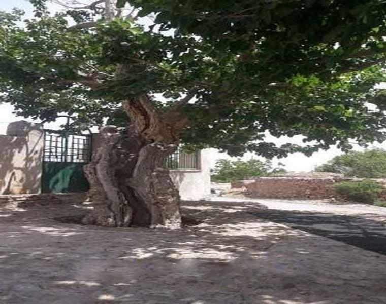 روستای اسفادنماد زیبایی شهرستان زیر کوه