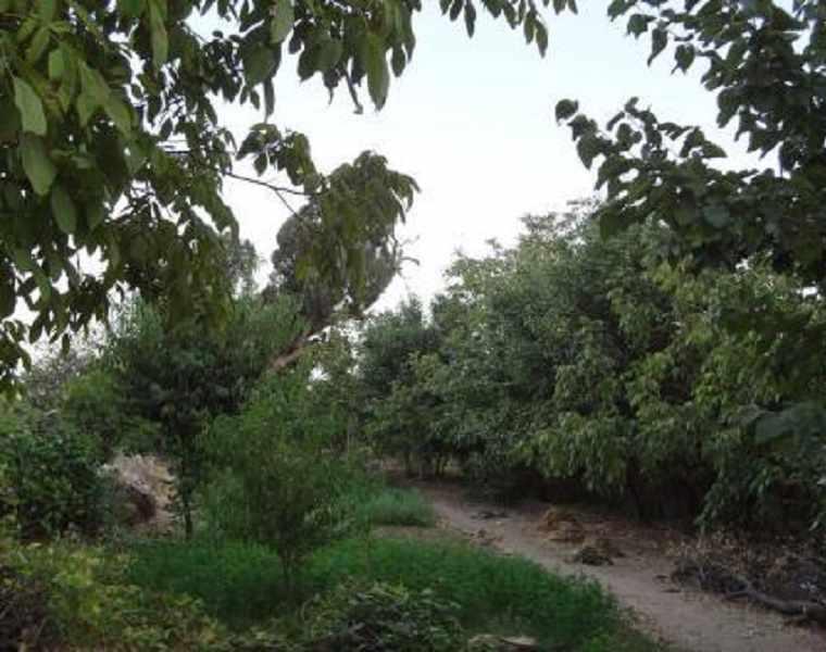 روستای اسفادنماد زیبایی شهرستان زیر کوه