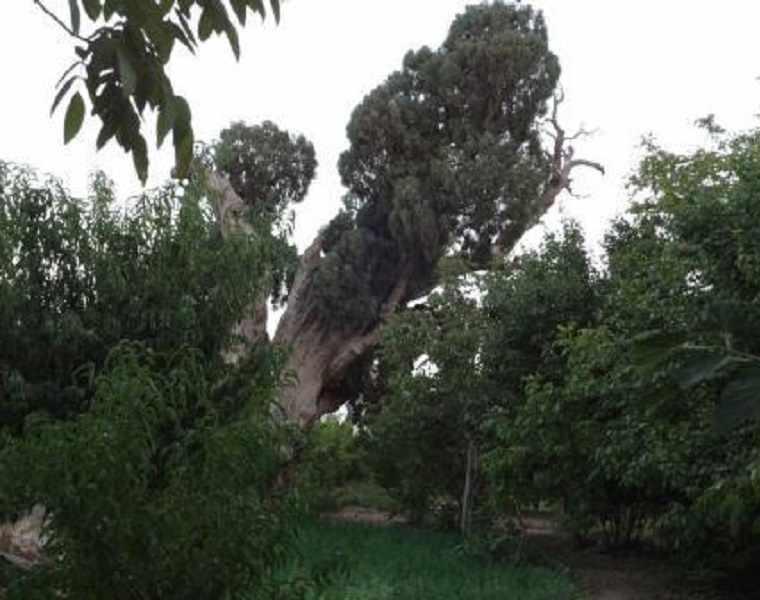 روستای اسفادنماد زیبایی شهرستان زیر کوه