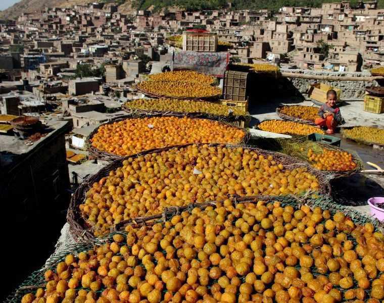 شهر ییلاقی خرو نیشابور