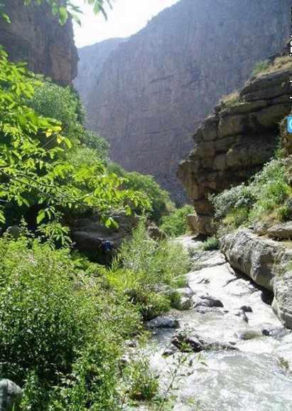 يخدان نمد مالها قوچان