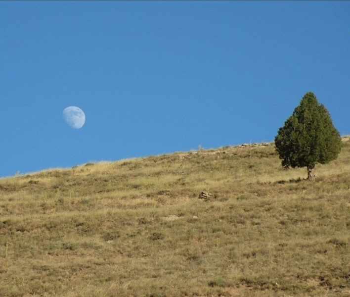 روستای تبارک