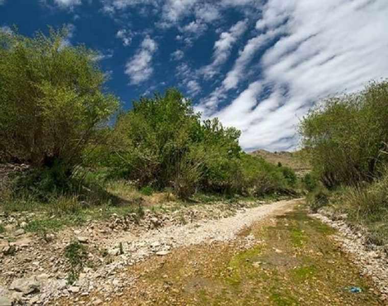 روستای ییلاقی آرک
