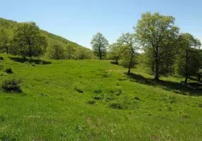 روستای درکش