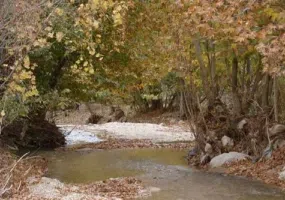 روستای خسرویه