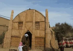 مضیف بردیه