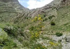 آبشار اسفجیر