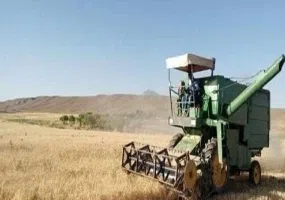 روستا سفته